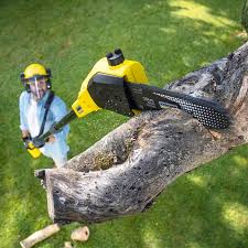 Best Stump Grinding and Removal  in Menahga, MN