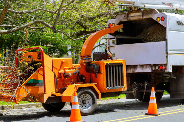 Best Commercial Tree Services  in Menahga, MN